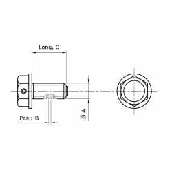 Bouchon de vidange TECNIUM non-aimanté M8x1,25x35 alu noir