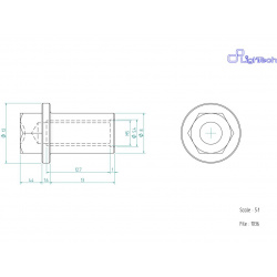 Vis LIGHTECH M5 X 13 Type 1036 Ergal argent à l'unité