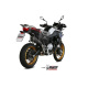 Silencieux MIVV Delta Race inox/casquette carbone BMW F850GS