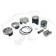 PISTON POUR TXT125 53.95MM