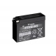 Batterie YUASA Sans entretien avec pack acide - YT4B-BS