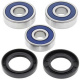 Kit roulements de roue arrière ALL BALLS Honda FT500 Ascott