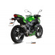 Silencieux MIVV GP carbone Kawasaki Z300