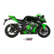 Silencieux MIVV GP-Pro carbone/casquette inox Kawasaki ZX-10R