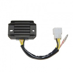 Régulateur ELECTROSPORT