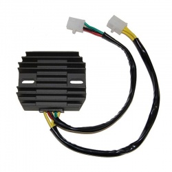 Régulateur ELECTROSPORT