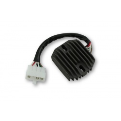 Régulateur ELECTROSPORT