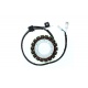 Stator ELECTROSPORT