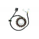 Stator ELECTROSPORT