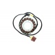 Stator ELECTROSPORT