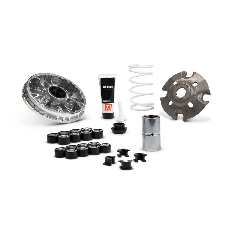 Variateur MALOSSI Multivar 2000