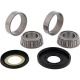 Kit roulements de colonne de direction ALL BALLS