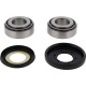 Kit roulements de colonne de direction ALL BALLS