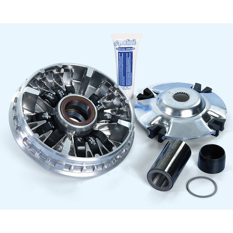 Variateur POLINI