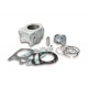 Kit cylindre MALOSSI ø 75,5 mm