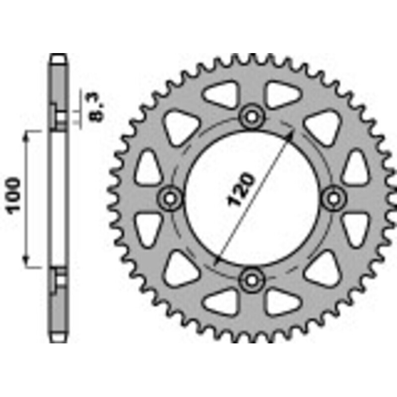 Couronne PBR acier standard - 420