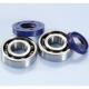 POLINI Crankshaft Bearings And Seals Kit Minarelli Engine