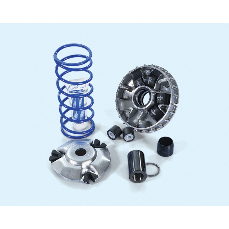 Variateur POLINI