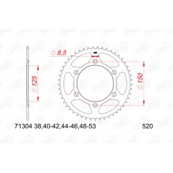 Pignon AFAM acier anti-bruit - 520