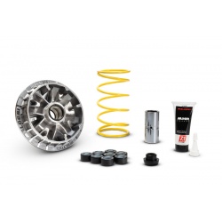 Variateur MALOSSI Multivar 2000