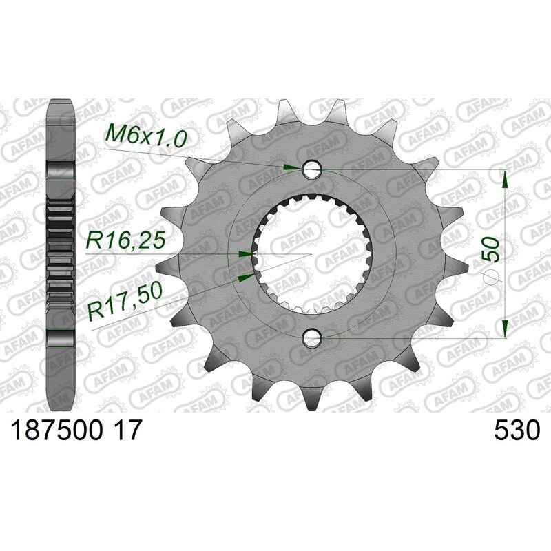 Pignon AFAM acier standard - 530