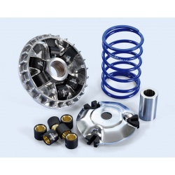 Variateur POLINI