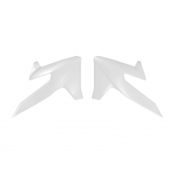 Ouïes de radiateur RACETECH