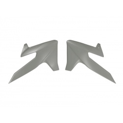 Ouïes de radiateur RACETECH