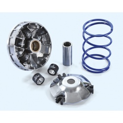 Variateur POLINI
