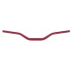Guidon RENTHAL Fatbar 603 Reed/Windham