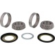 Kit roulements de colonne de direction ALL BALLS