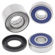 Kit roulements de roue ALL BALLS