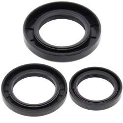 Kit joints de différentiel arrière ALL BALLS