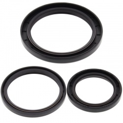 Kit joints de différentiel arrière ALL BALLS