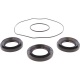 Kit joints de différentiel arrière ALL BALLS
