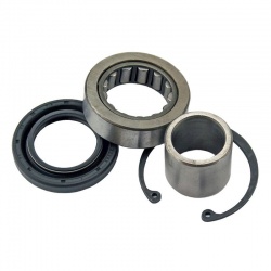 Kit de roulement et joint de transmission primaire interne ALL BALLS OEM