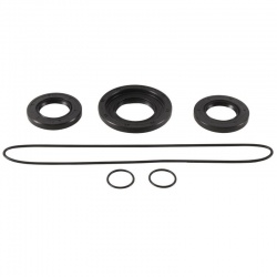 Kit joints de différentiel arrière ALL BALLS