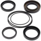 Kit joints de différentiel arrière ALL BALLS