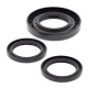 Kit joints de différentiel arrière ALL BALLS