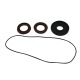 Kit joints de différentiel arrière ALL BALLS