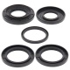 Kit joints de différentiel arrière ALL BALLS