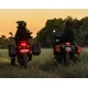 Clignotants intelligents DENALI T3-S™ et feux de jour pour motos – Arrière